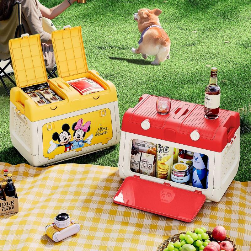 กล่องเก็บของสำหรับตั้งแคมป์กลา - Outdoor Camping Storage Box บทวิจารณ์และราคา
