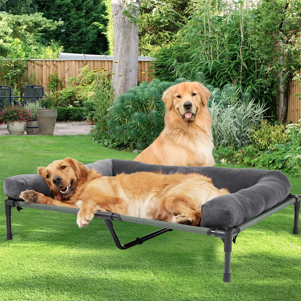เตียงนอนสุนัขกลางแจ้ง BINGOPAW - Outdoor Camping Cot บทวิจารณ์และราคา